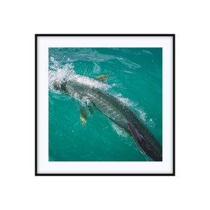 Coastal Decor | Nautical Print Wall Art Photo | Tarpon Rise | Custom Size