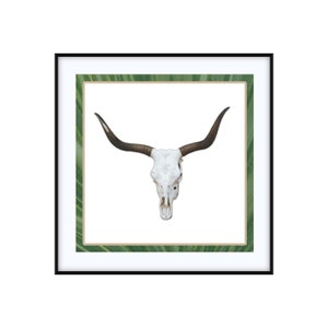 Texas Longhorn Skull | Western Photo Art Print | Custom Size