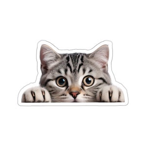 American shorthair,Kiss Cut Stickers,peeking cat,laptop sticker, transparent sticker,cat sticker,pet sticker,cute cat,cat peeking,cat decals