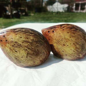 Vintage Japanese Walnut Salt & Pepper Set
