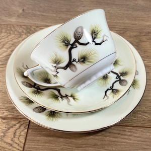 May include: A white teacup and saucer set with a pine tree and pine cone design. The set has a gold trim around the edges.