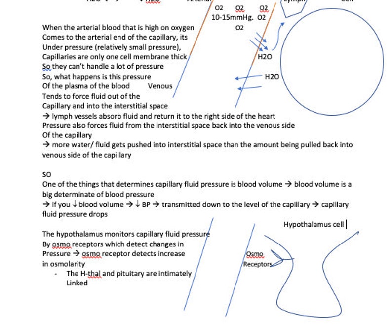 DKA DI & SIADH Study Sheet/ Pathophysiology for Rns - Etsy