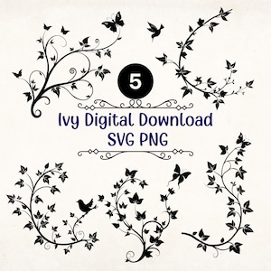 Lierre et papillon SVG, Clipart lierre et oiseau png Lierre vignes Svg, lierre svg, Cricut et Silouette Svg, feuilles svg,