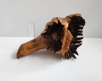 Natural Burl Wood Bud Vase Bird Head Pareidolia Decorative Object
