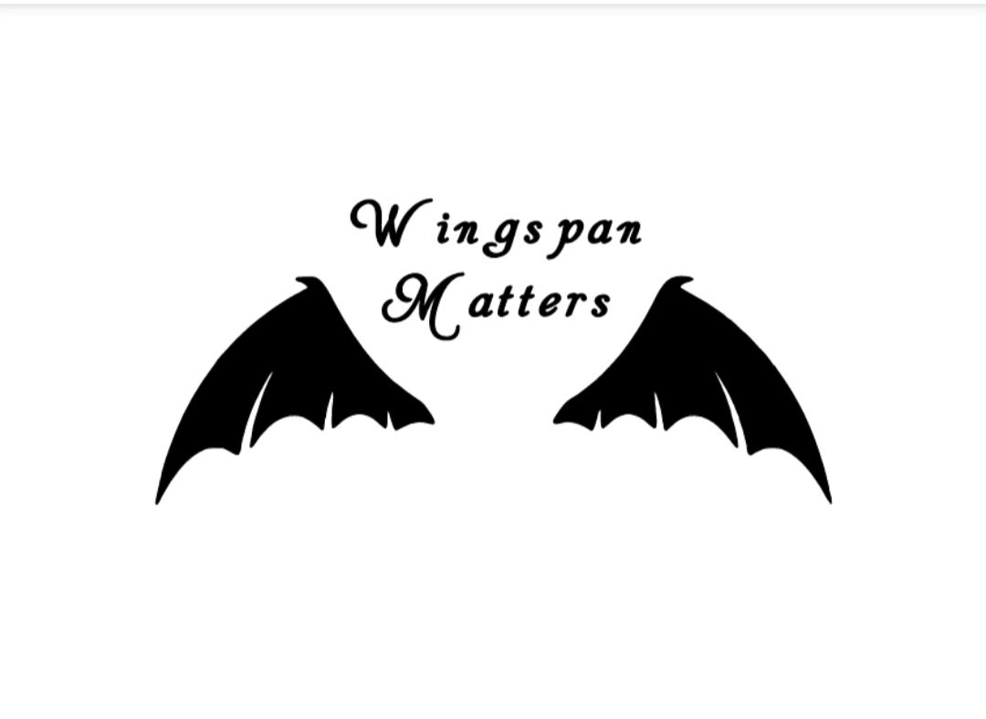 Wingspan Matters Permanent Vinyl Decal Etsy