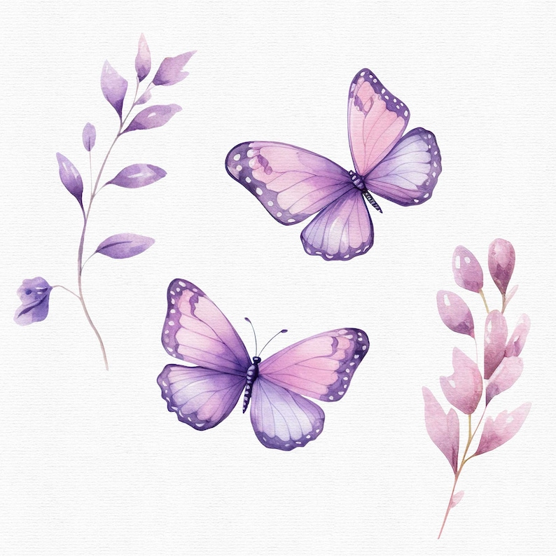 May include: Watercolor illustration of three purple butterflies and two sprigs of purple flowers on a white background.