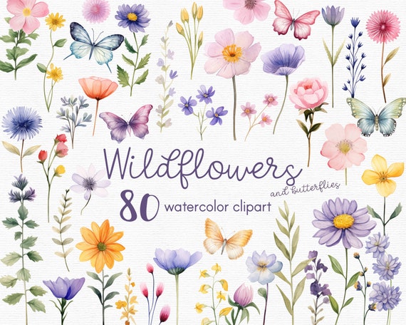 Wildflower Clipart, Flowers clipart, 80 png files with Transparent Background, Spring Clipart, Garden Clipart, floral INSTANT DOWNLOAD