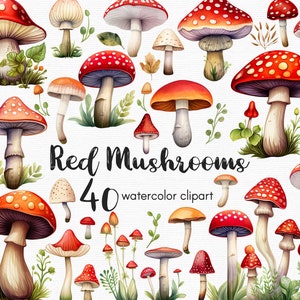 Paddestoel clipart paddo's clipart, amanita, 40 png-bestanden met transparante achtergrond, clipartbundel, INSTANT DOWNLOAD