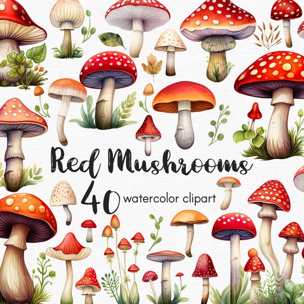 Mushroom Clipart Magic Mushrooms clipart, Amanita Mushroom, 40 png files with Transparent Background, Clipart Bundle, INSTANT DOWNLOAD