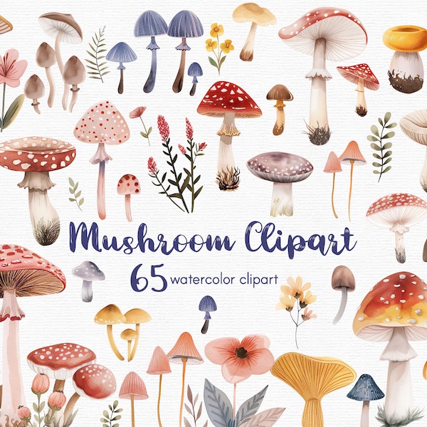 Mushroom Clipart,  magic mushrooms clipart, 65 png files with Transparent Background, Clipart Bundle, INSTANT DOWNLOAD