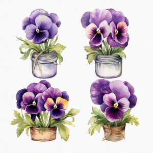 Akvarell penséer Clipart: 45 lila blommor PNG-filer (direkt nedladdning) bild 7