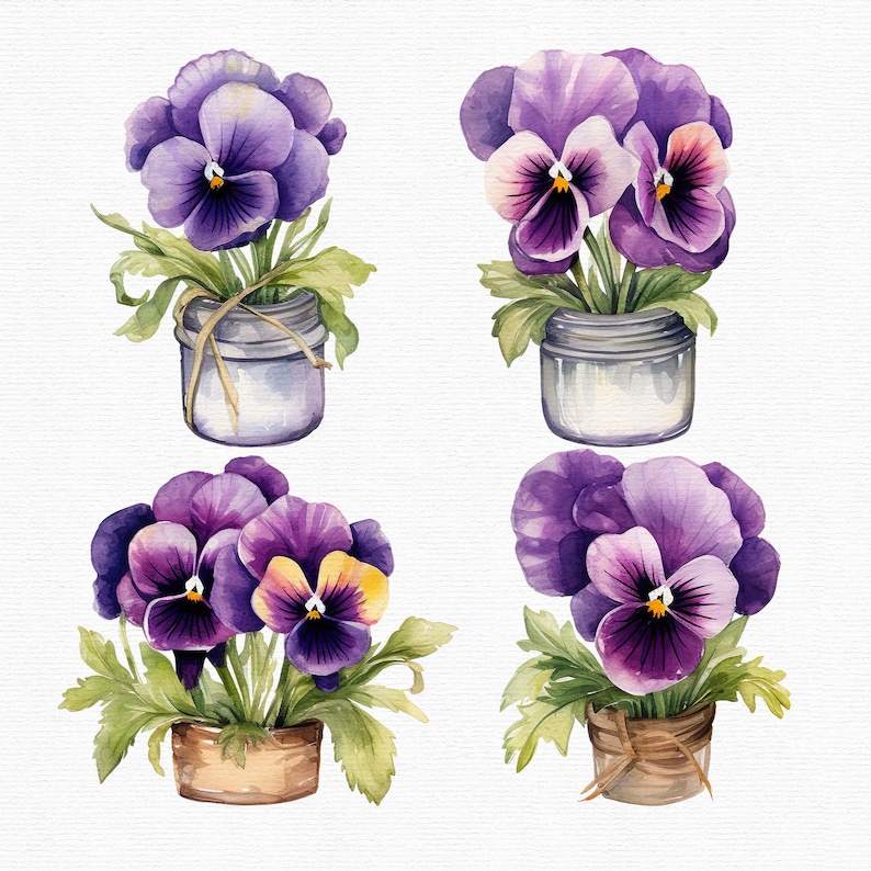 Akvarell penséer Clipart: 45 lila blommor PNG-filer (direkt nedladdning) bild 7