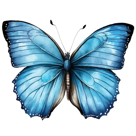 Blue Butterfly Clipart PNG, 10 Png Files With Transparent ...