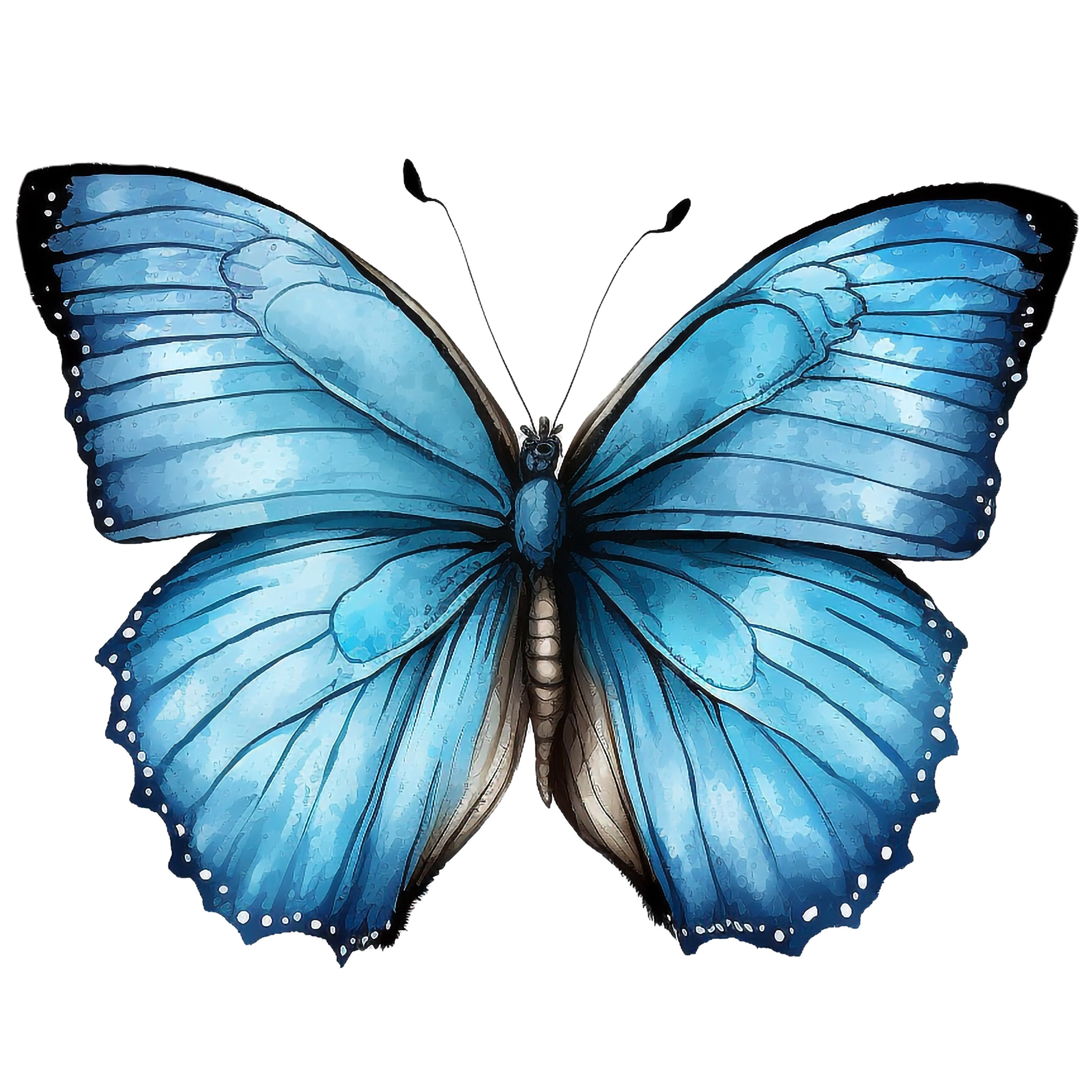 Blue Butterfly Clipart PNG 10 Png Files With Transparent Etsy