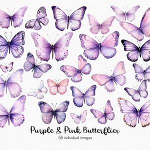 May include: A collection of 25 watercolor illustrations of purple and pink butterflies. The butterflies are arranged in a random pattern on a white background. The text "Purple & Pink Butterflies" and "55 individual images" is at the bottom of the image.