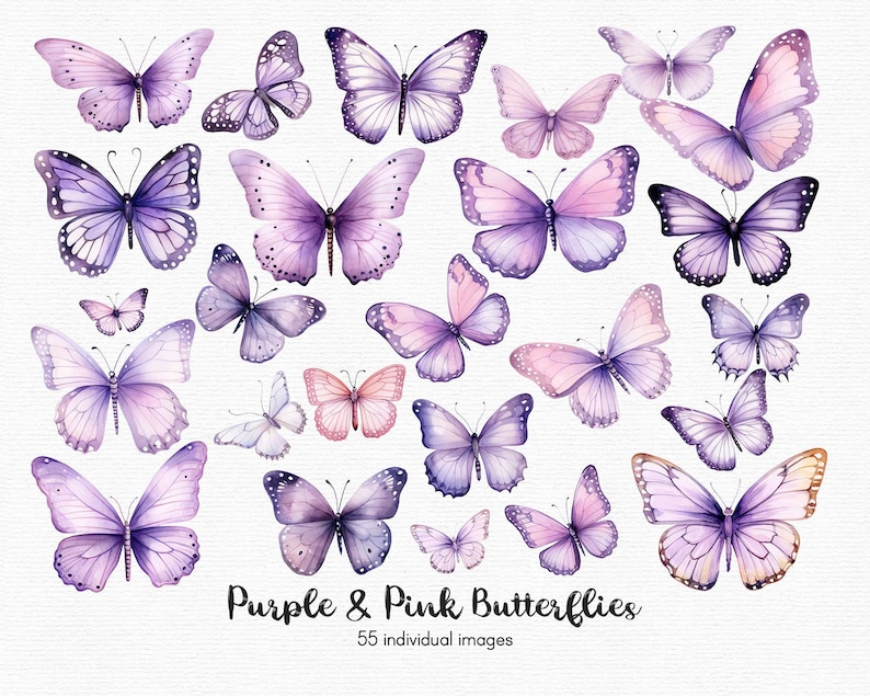May include: A collection of 25 watercolor illustrations of purple and pink butterflies. The butterflies are arranged in a random pattern on a white background. The text "Purple & Pink Butterflies" and "55 individual images" is at the bottom of the image.
