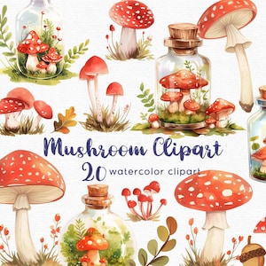 Mushroom Clipart magic mushrooms clipart, 20 png files with Transparent Background, whimsical Clipart Bundle, INSTANT DOWNLOAD