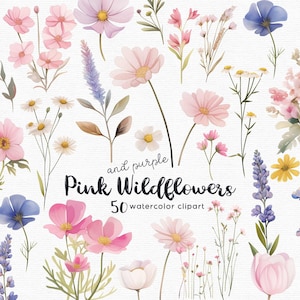 Wildblumen Clipart, Blumen Clipart, 50 Png Dateien mit transparentem Hintergrund, Frühling Clipart, Garten Clipart, Blumen INSTANT DOWNLOAD