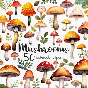 Mushroom Clipart magic mushrooms clipart, 50 png files with Transparent Background, whimisical Clipart Bundle, INSTANT DOWNLOAD