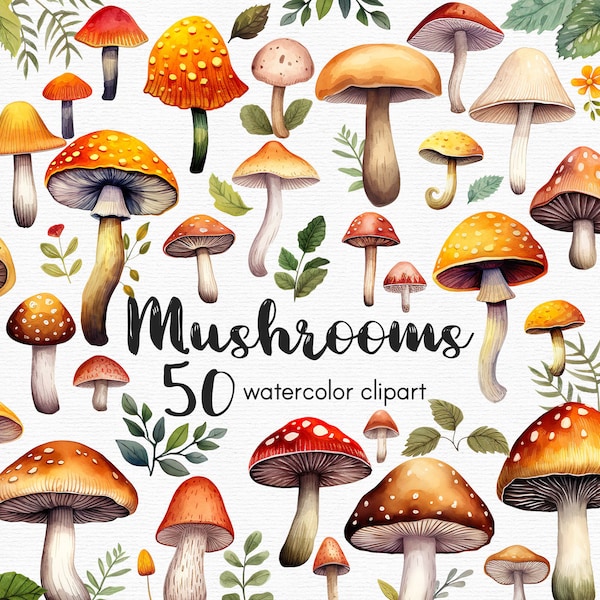 Clipart di funghi magici di funghi clipart, 50 file png con sfondo trasparente, bundle Clipart stravagante, DOWNLOAD immediato