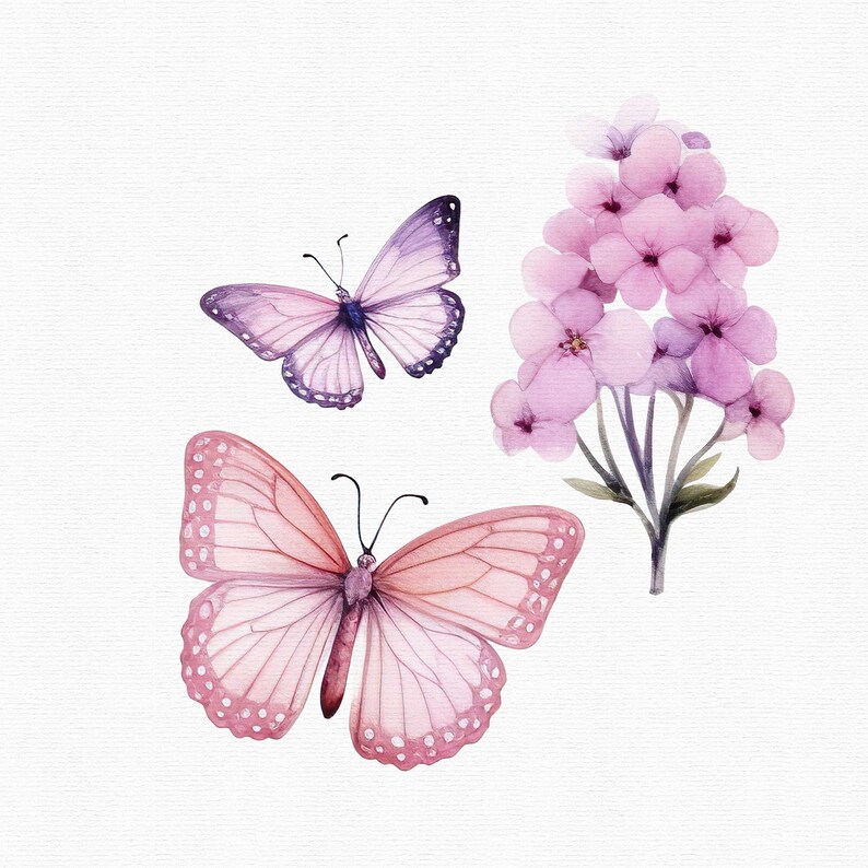May include: Two watercolor butterflies on a white background. One butterfly is purple and the other is pink. A cluster of pink flowers is also painted on the background.