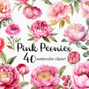 Aquarel roze pioenrozen clipart, bloemen clipart, 40 png-bestanden met transparante achtergrond, bloemen clipart, INSTANT DOWNLOAD