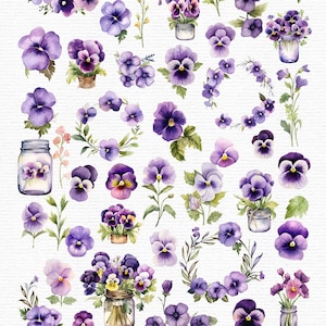 Akvarell penséer Clipart: 45 lila blommor PNG-filer (direkt nedladdning) bild 2