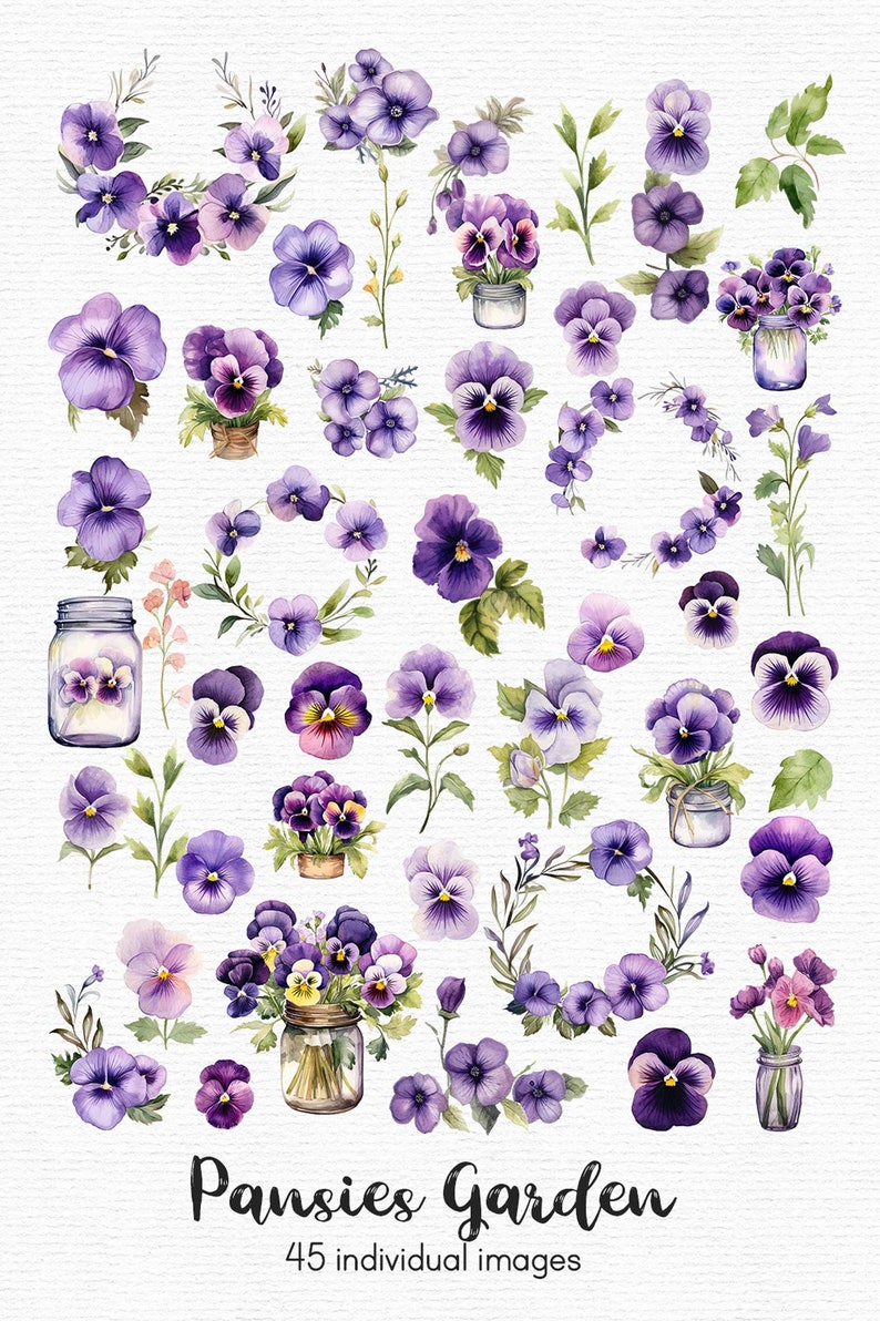 Akvarell penséer Clipart: 45 lila blommor PNG-filer (direkt nedladdning) bild 2