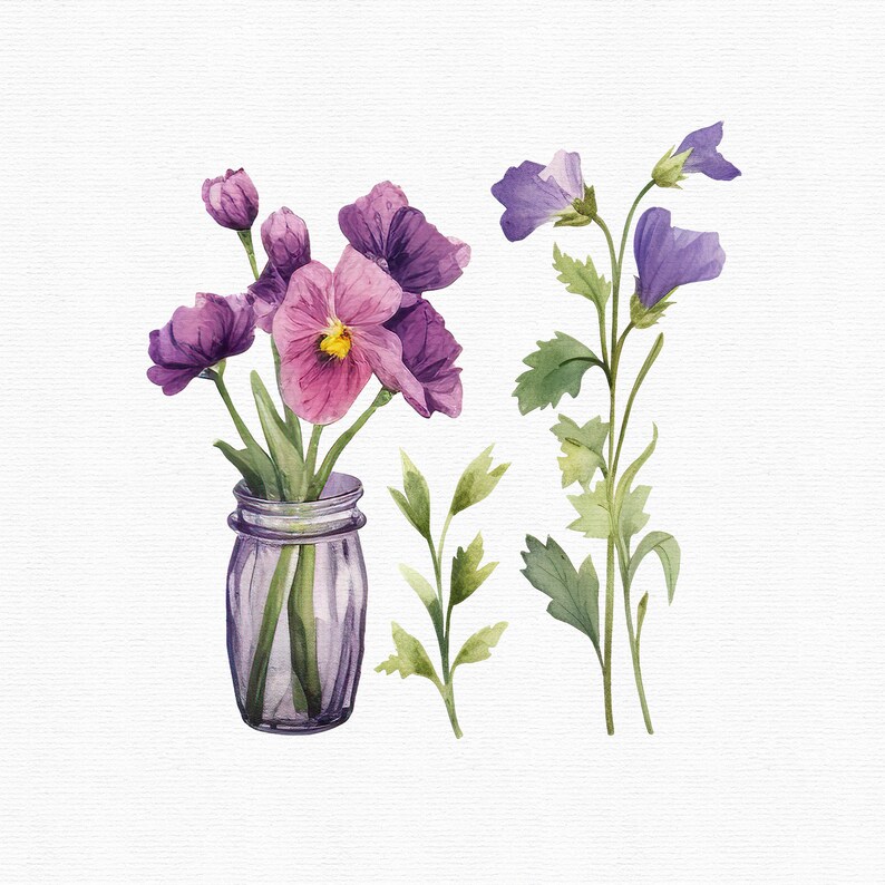 Akvarell penséer Clipart: 45 lila blommor PNG-filer (direkt nedladdning) bild 9