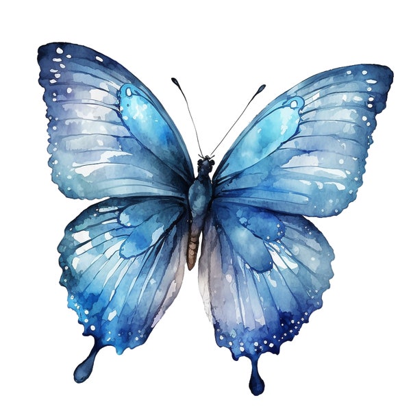 Blue Butterfly Clipart PNG, 10 png files with Transparent Background, INSTANT DOWNLOAD
