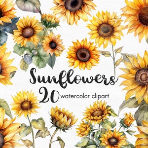 Sunflower Clipart, Floral Clip art, Floral clipart, watercolor sunflower, flower clipart, Spring flowers, INSTANT DOWNLOAD