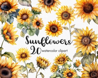 Zonnebloem clipart, bloemen illustraties, bloemen clipart, aquarel zonnebloem, bloem clipart, lentebloemen, INSTANT DOWNLOAD