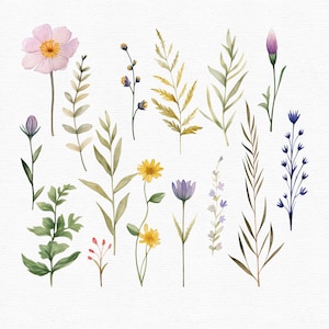 May include: Watercolor illustration of various wildflowers and foliage. The image features a collection of delicate flowers in shades of pink, yellow, and purple, along with green and brown leaves and stems. The artwork is set against a white background.