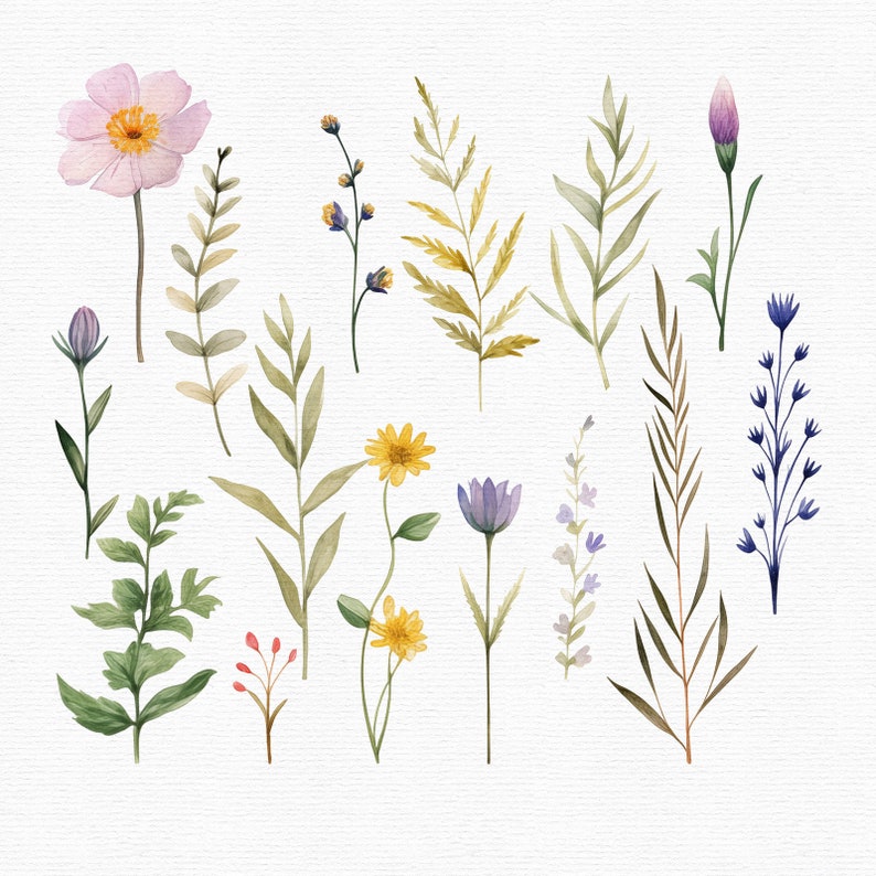 May include: Watercolor illustration of various wildflowers and foliage. The image features a collection of delicate flowers in shades of pink, yellow, and purple, along with green and brown leaves and stems. The artwork is set against a white background.