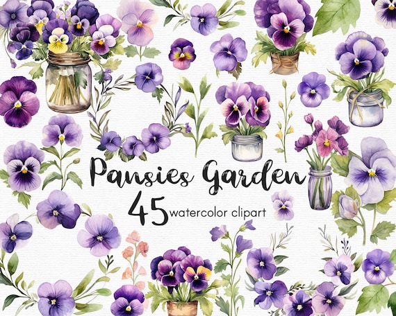 Watercolor Pansies Clipart: 45 Purple Flower PNG Files (Instant Download)