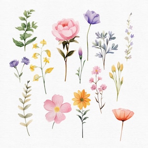May include: Watercolor illustration of various flowers and foliage. The image features a pink peony, purple and yellow wildflowers, and other floral elements in shades of pink, orange, and green. The artwork is set against a white background.