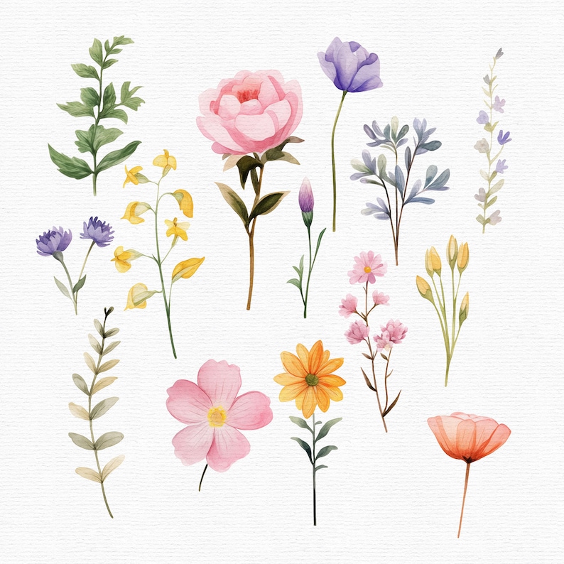 May include: Watercolor illustration of various flowers and foliage. The image features a pink peony, purple and yellow wildflowers, and other floral elements in shades of pink, orange, and green. The artwork is set against a white background.