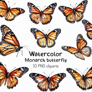Borboleta Monarca Clipart PNG, clipart de aquarela, 10 arquivos png com fundo transparente, DOWNLOAD INSTANTÂNEO