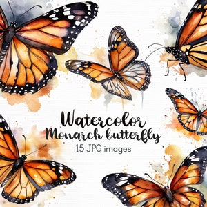 Monarchfalter Schmetterling Clipart, Blumen Clipart, 15 JPG-Dateien mit weißem Hintergrund, Frühling Clipart, Garten Clipart, Blumen INSTANT DOWNLOAD