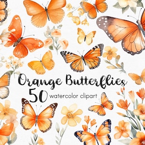 Orange Schmetterling Clipart, Blumen Clipart, 50 Png-Dateien mit transparentem Hintergrund, Frühling Clipart, Garten Clipart, Blumen INSTANT DOWNLOAD