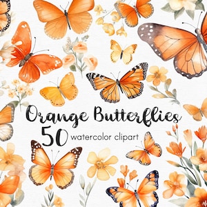 Clipart de borboleta laranja, clipart de flores, 50 arquivos png com fundo transparente, clipart de primavera, clipart de jardim, floral DOWNLOAD INSTANTÂNEO
