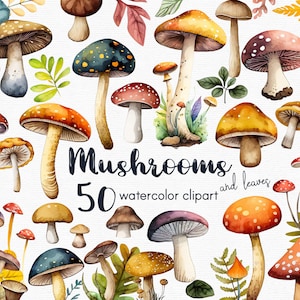 Mushroom Clipart,  magic mushrooms clipart, 50 png files with Transparent Background, Clipart Bundle, INSTANT DOWNLOAD