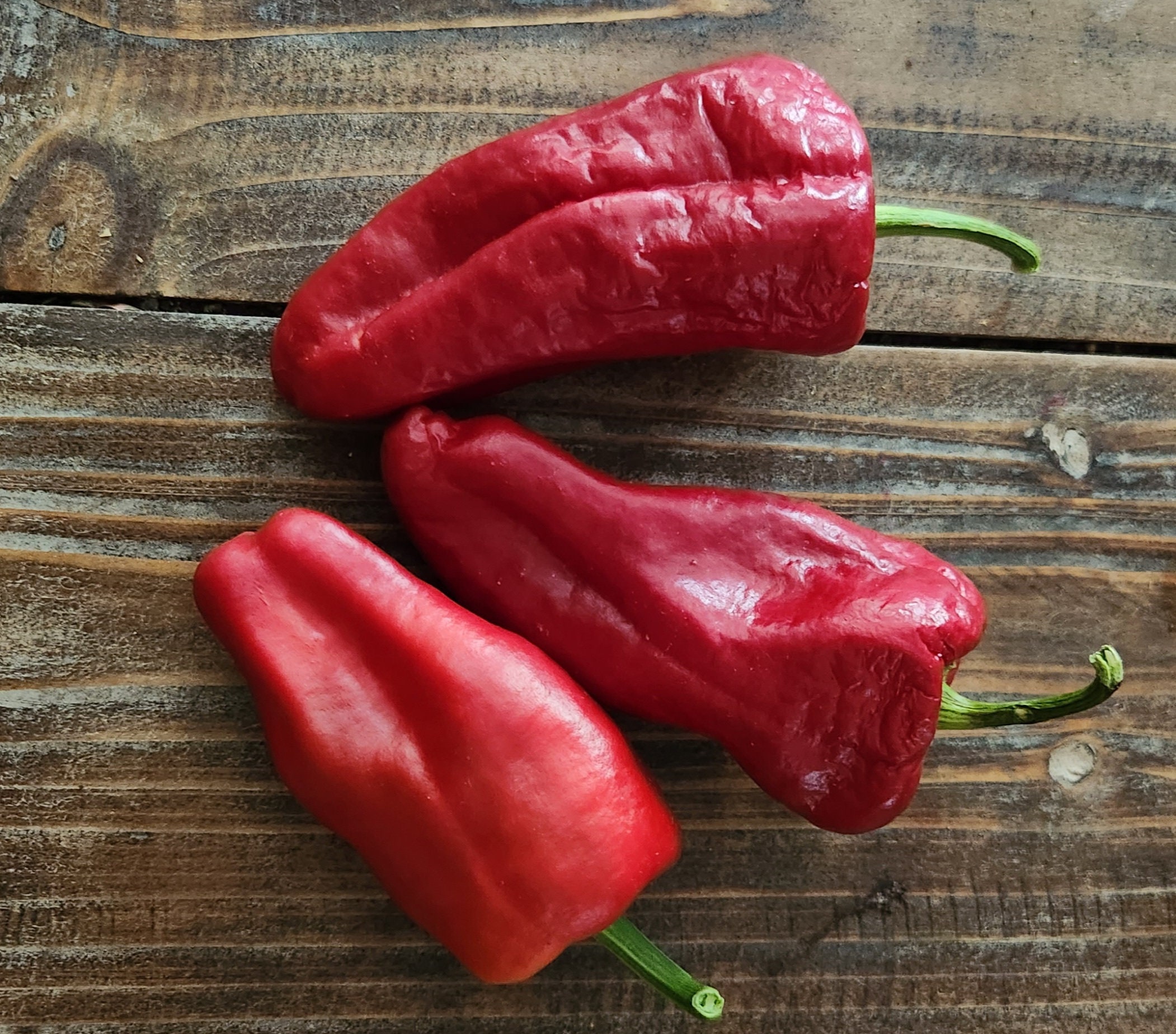 SEEDS Leutschauer Paprika Pepper 20 Seeds Heirloom Etsy