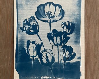 9" x 12" Tulips - Cyanotype Print