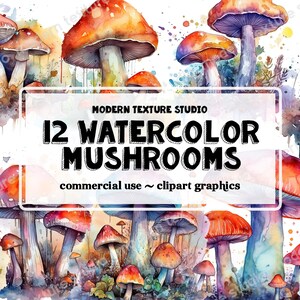 Magic Mushrooms Clipart - 12 Pack transparent png forest nature art instant download for commercial use