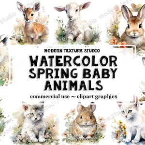 Watercolor Spring Baby Animals Clipart - 15 Piece animals with transparent background in PNG format instant download for commercial use