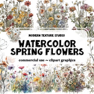 Watercolor Meadow Flower Clipart - spring wildflower floral transparent PNG format instant download for commercial use