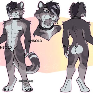 Puede incluir: Ilustración digital de un personaje furry, mostrado de frente, de lado y de espalda. El personaje tiene pelaje gris y blanco, un collar negro, y la palabra "UNSOLD" es visible. El nombre de la tienda Etsy también es visible.