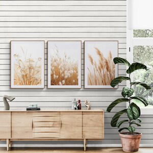 Dry Pampas Grass Neutral Wall Art Set of 3 in a living room with wooden cabinet and floor plant
