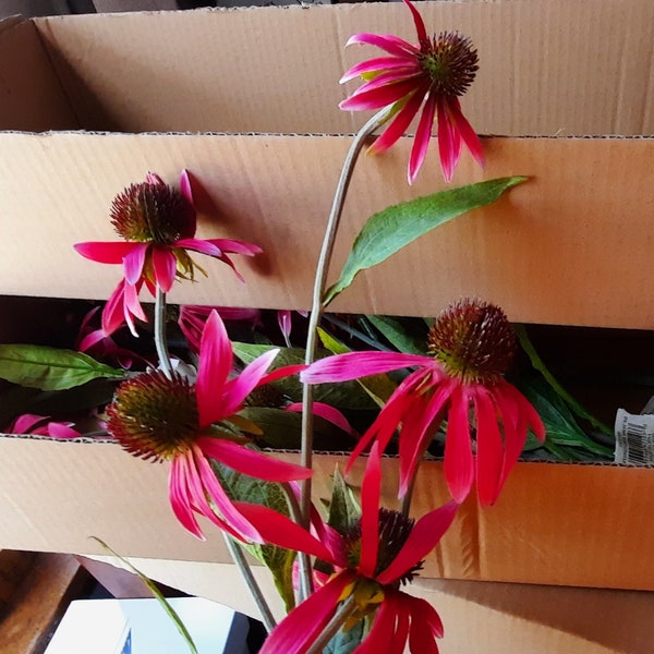 Artificial 34' Pinkish Coneflower Sprays